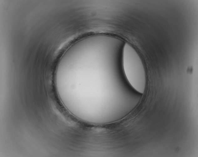 X0000112460539200908171018