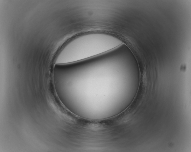 X0000112460540200908171018