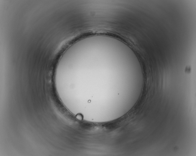 X0000112460543200908171018