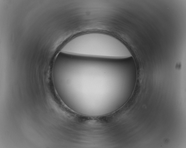 X0000112460544200908171019