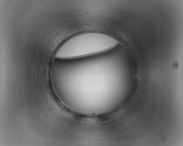 X0000112460548200908171019