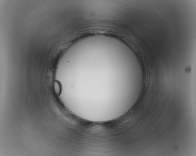 X0000112460551200908171019