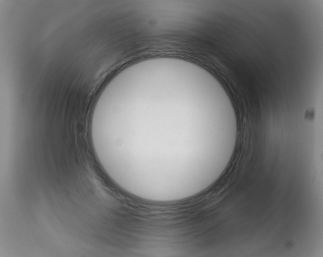 X0000112460552200908171019