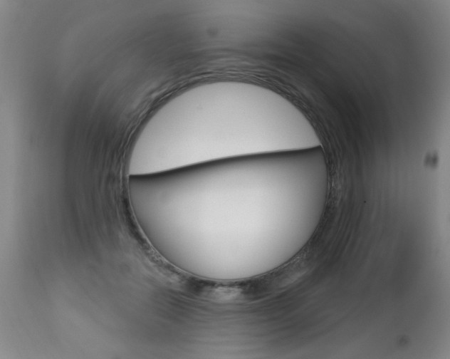 X0000112460554200908171019