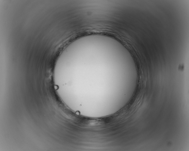 X0000112460555200908171019