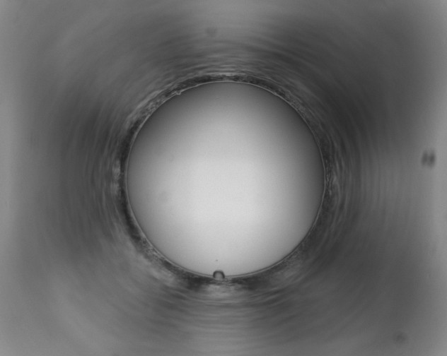 X0000112460556200908171019