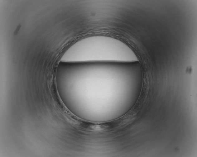 X0000112460558200908171019