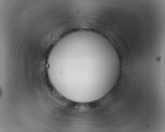 X0000112460559200908171019