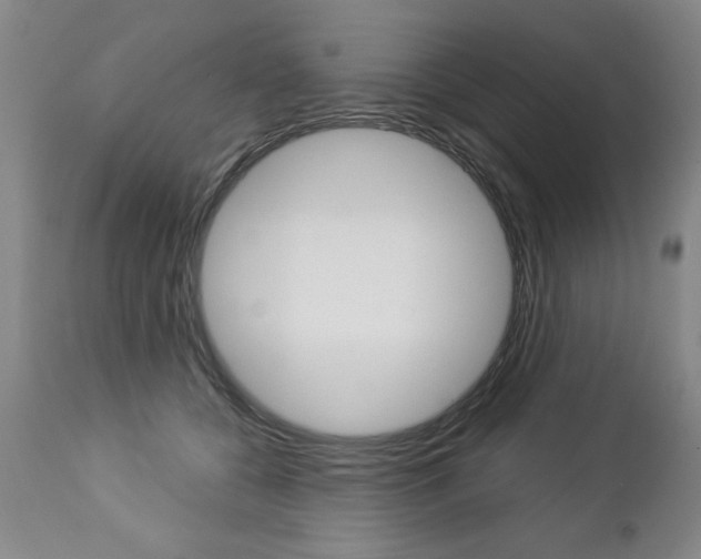 X0000112460560200908171019