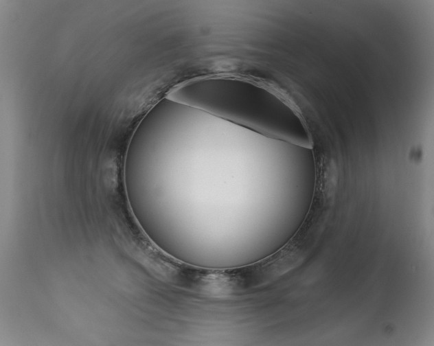 X0000112460562200908171019