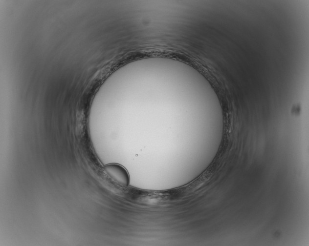 X0000112460563200908171019