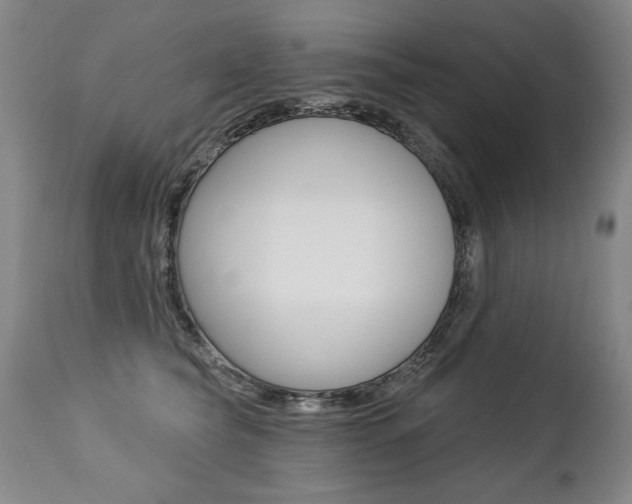 X0000112460565200908171019