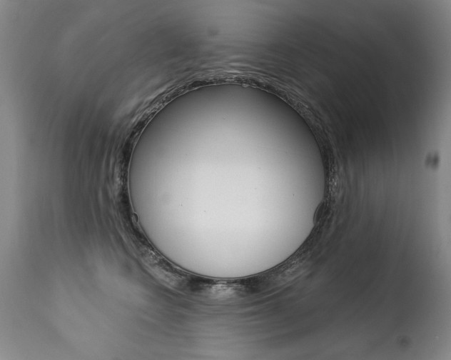 X0000112460566200908171019