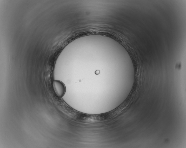 X0000112460567200908171019