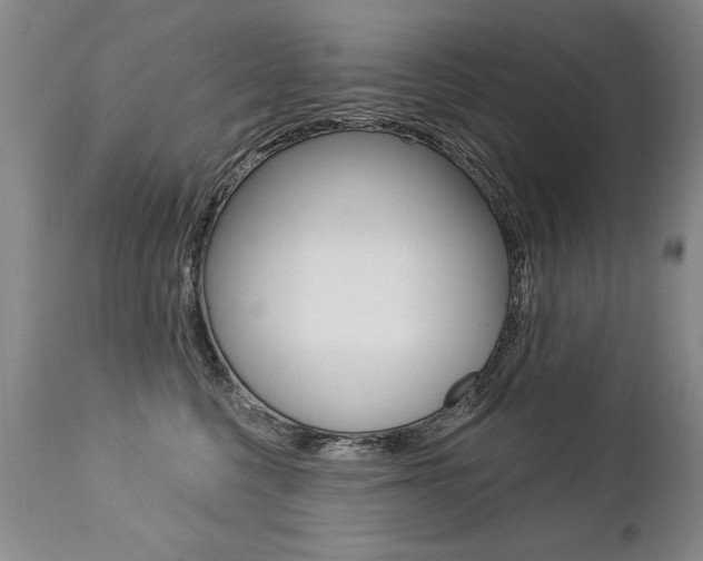 X0000112460568200908171019