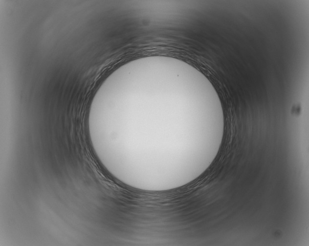 X0000112460570200908171019