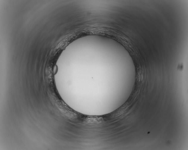 X0000112460571200908171019