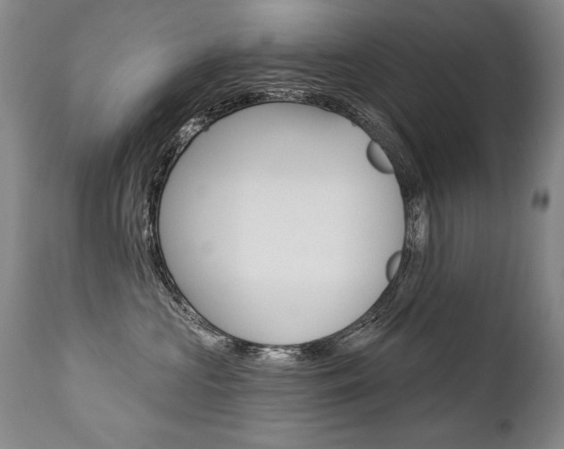 X0000112460573200908171019