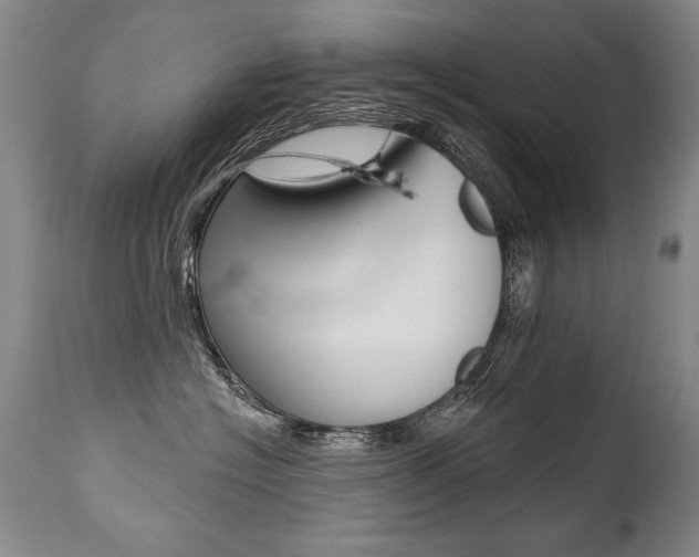 X0000112460574200908171019