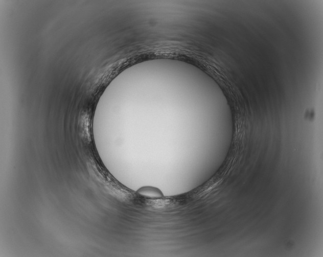 X0000112460575200908171019