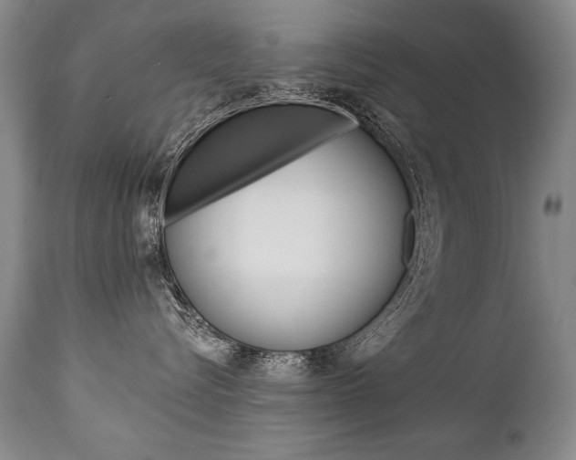 X0000112460576200908171019