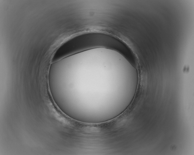 X0000112460577200908171018