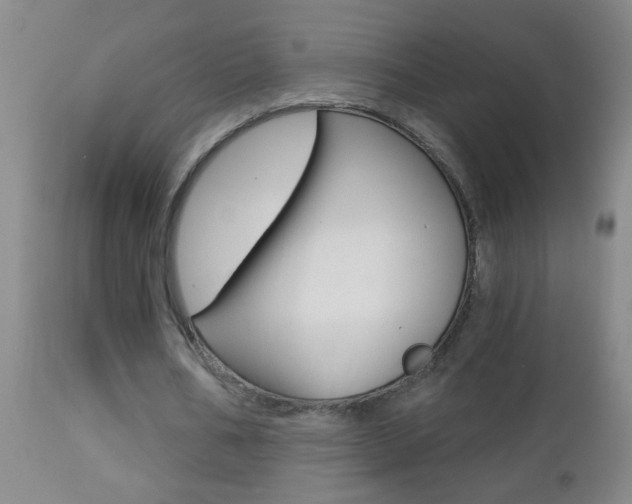 X0000112460578200908171018