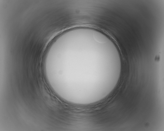 X0000112460579200908171018