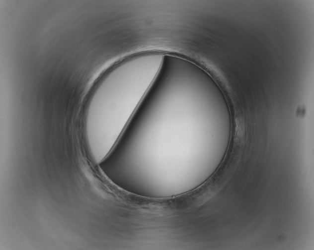 X0000112460580200908171018