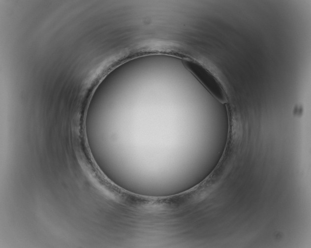 X0000112460581200908171018