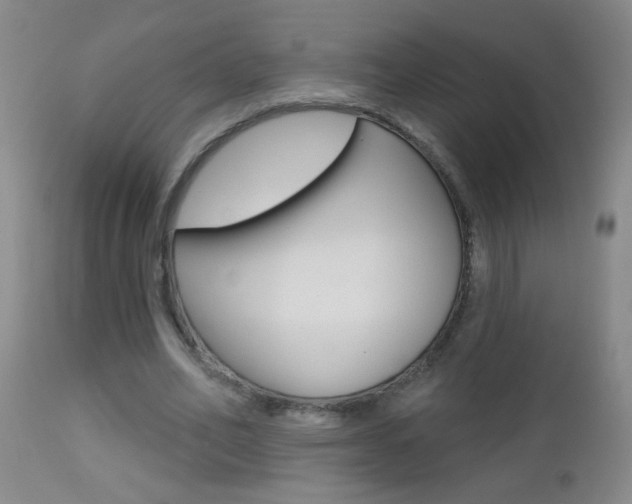 X0000112460582200908171018