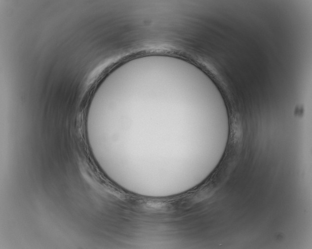X0000112460583200908171018
