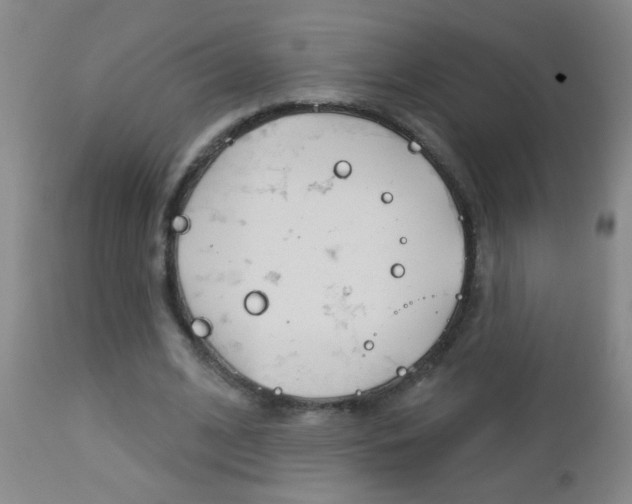 X0000112460584200908171018