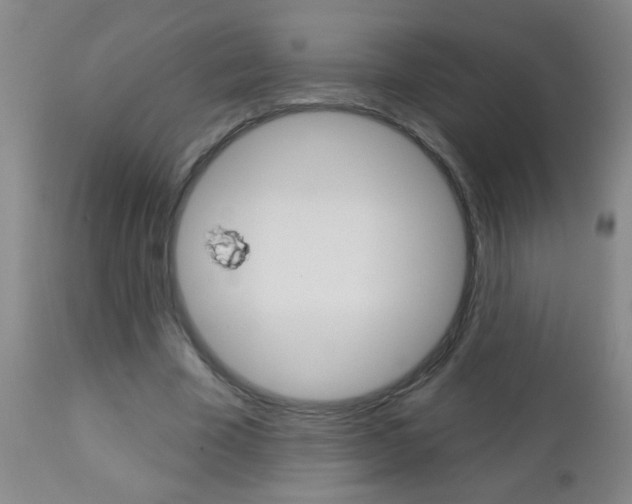 X0000112460585200908171018