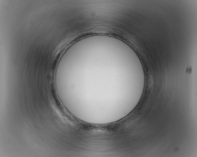 X0000112460586200908171018