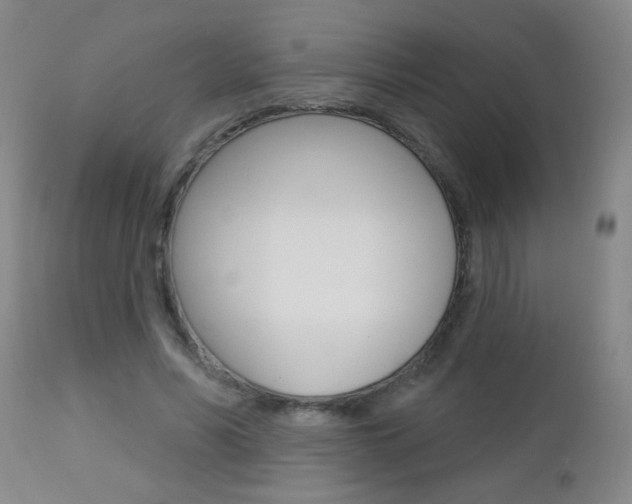 X0000112460590200908171018