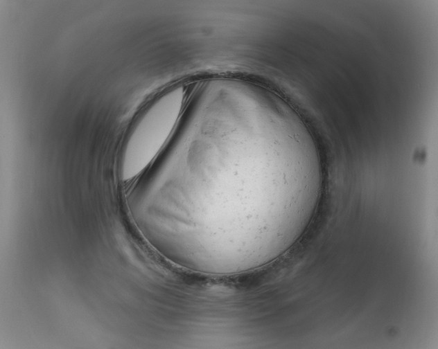 X0000112460592200908171018