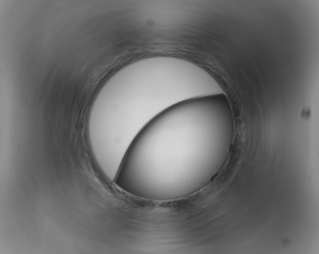 X0000112460593200908171018