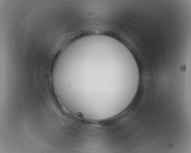X0000112460594200908171018