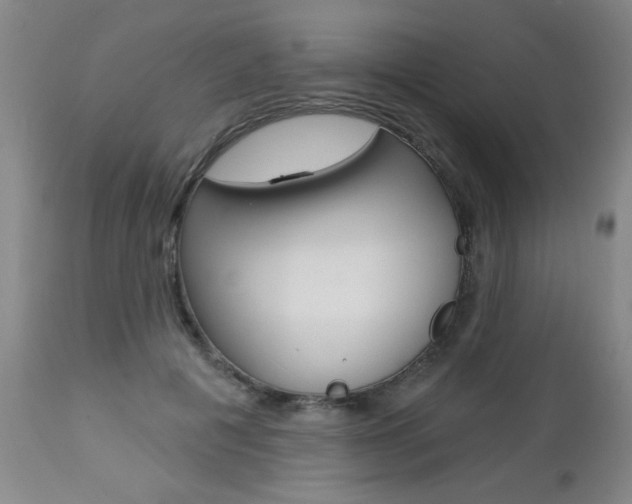 X0000112460601200908171018