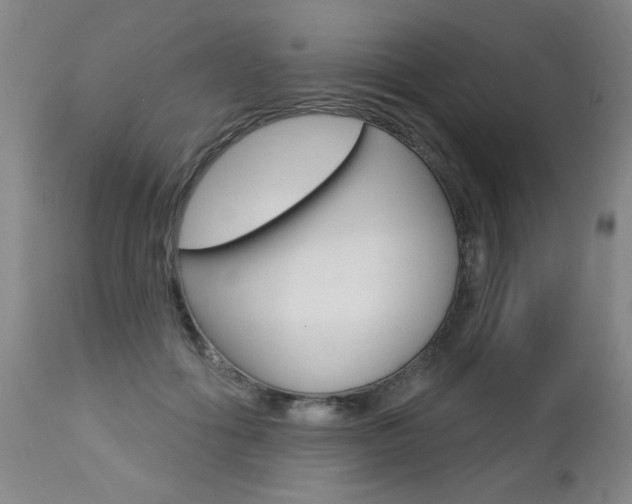 X0000112460602200908171018