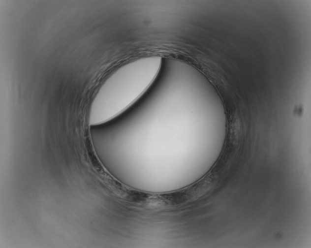X0000112460608200908171018