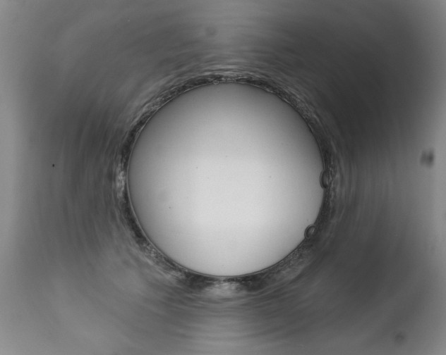 X0000112460609200908171018