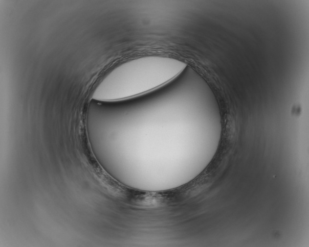 X0000112460612200908171018