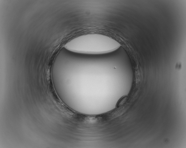 X0000112460613200908171018
