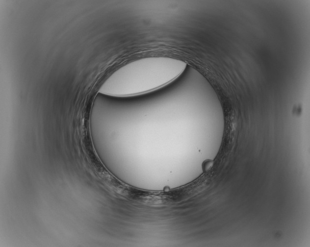 X0000112460615200908171018