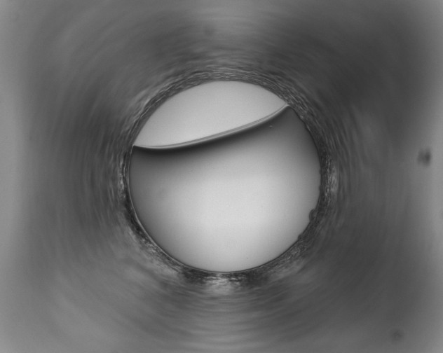 X0000112460616200908171018