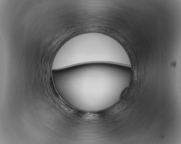 X0000112460617200908171018