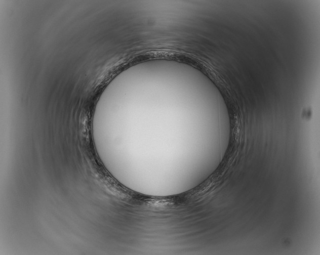 X0000112460619200908171018