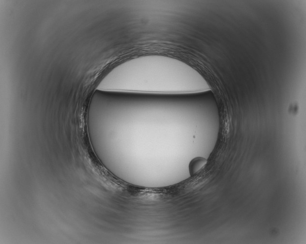 X0000112460620200908171018